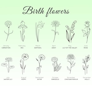 May include: A green gradient background with the words "Birth flowers" in elegant script. Below, twelve line drawings of flowers are labeled with their corresponding month and name, including Carnation, Iris, Daffodil, Daisy, Rose, and Holly.
