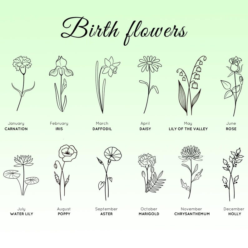 May include: A green gradient background with the words "Birth flowers" in elegant script. Below, twelve line drawings of flowers are labeled with their corresponding month and name, including Carnation, Iris, Daffodil, Daisy, Rose, and Holly.