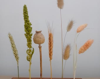 Barra de flores secas