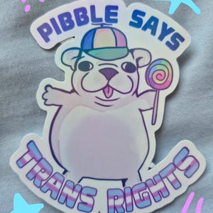 May include: A die-cut sticker featuring a white cartoon dog wearing a multi-coloured cap and holding a colourful lollipop. The text above reads PIBBLE SAYS and the text below reads TRANS RIGHTS in a blue, pink, and white gradient colour scheme.