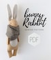 Bunny Rabbit Sewing PATTERN, Felt Animals pattern, PDF Pattern, Stuffed Animal 