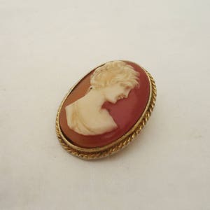 May include: A gold-toned oval cameo brooch with a white cameo of a woman's profile against a red background.