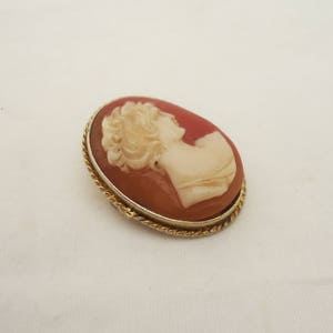 May include: A cameo brooch with a gold-tone setting. The cameo features a white profile of a woman with a red background.