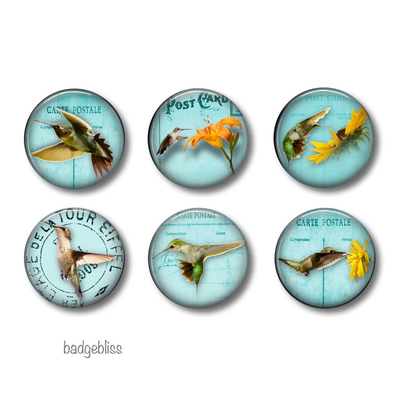 set of 6 magnetsbadges Humminbirds fridge magnets