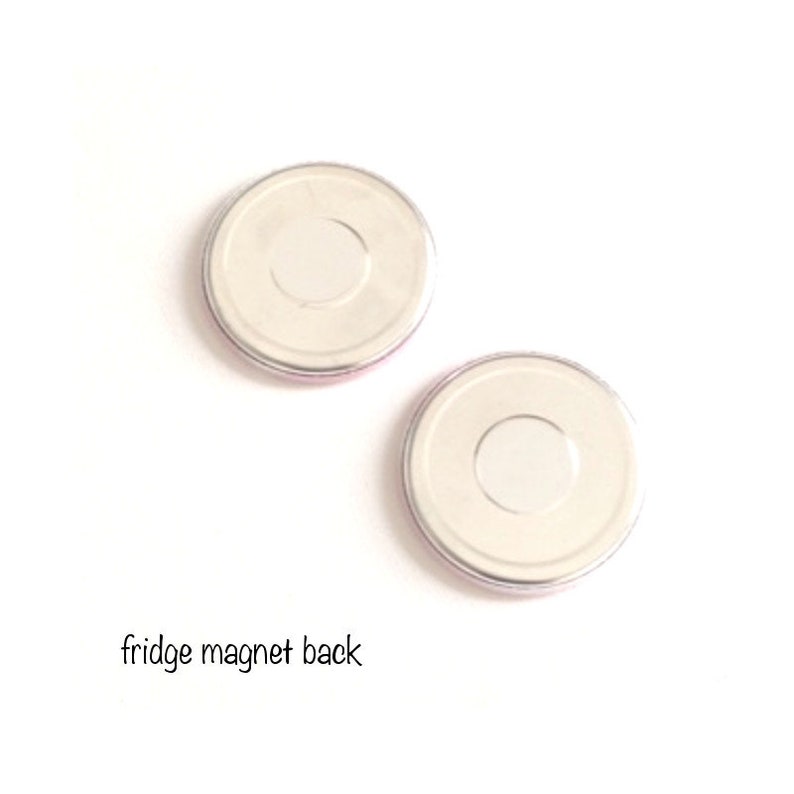 set of 6 magnetsbadges Humminbirds fridge magnets