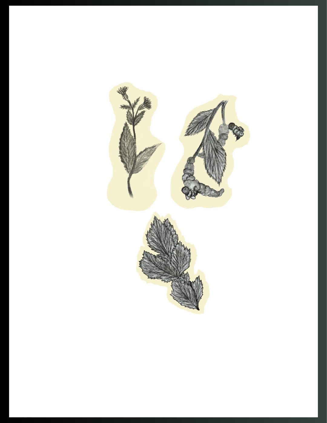 Flower Stickers - Black and White - Etsy