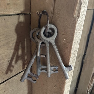 May include: A set of antique metal keys hanging from a rustic wooden beam. The keys are attached to a metal ring and show signs of age and wear. The wood has a natural, weathered appearance.