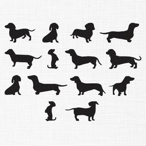 May include: A collection of black dachshund dog silhouettes in various poses against a white background. The dogs are depicted in profile, sitting, and standing, showcasing the breed's distinctive long body and short legs. The image has a simple, graphic style.