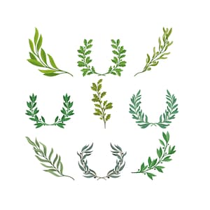 May include: A collection of nine botanical illustrations featuring various green leaf arrangements. The designs include sprigs, wreaths, and branches, showcasing a range of leaf shapes and textures. The illustrations are set against a white background.