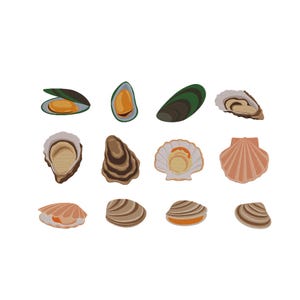 Puede incluir: Ilustración de una colección de conchas marinas y mariscos. La imagen presenta representaciones detalladas de mejillones, ostras y vieiras en tonos verdes, marrones, naranjas y blancos. Las ilustraciones están dispuestas sobre un fondo blanco.
