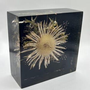Pierre Bodin Harzblock mit botanischen Motiven, Carline des Alpes, 1970er Jahre, signiert