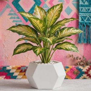 May include: A potted plant with variegated green and yellow leaves in a white hexagonal planter. The plant features pointed, lance-shaped foliage with a central stem structure, and the base of the plant is covered with small white decorative stones.