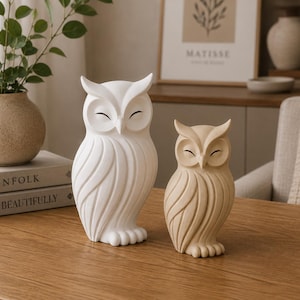 Può includere: Due statuette di gufi posizionate una accanto all'altra su una superficie in legno. Il gufo più grande è bianco opaco, mentre quello più piccolo è di un tenue colore beige. Entrambi presentano occhi chiusi, ciuffi auricolari e linee incise.