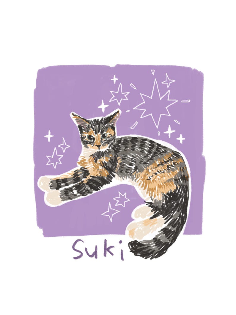 Custom Pet Portrait | Hand-Drawn Dog Cat Mom Keepsake Memorial gift(Digital File) image 19