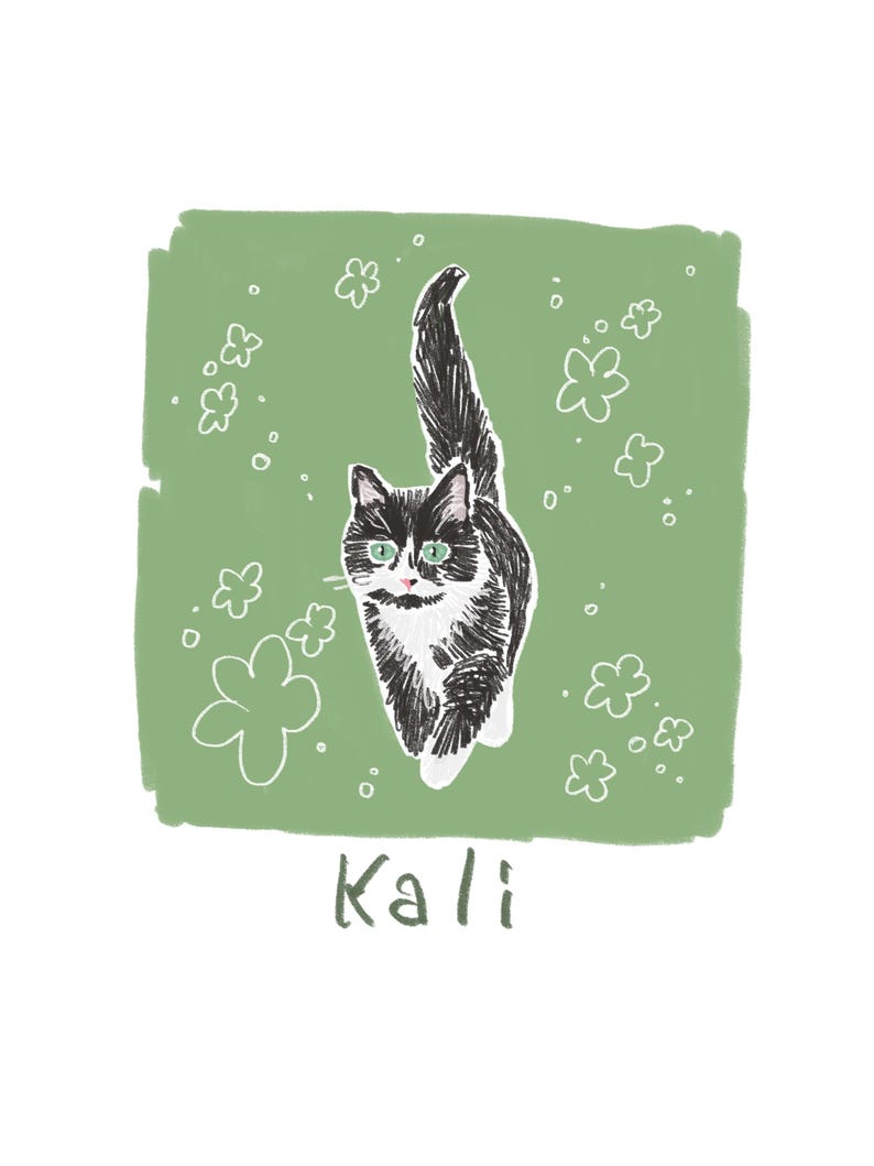 May include: A digital illustration of a black and white cat with green eyes, positioned on a sage green square background decorated with white line-art flowers and small circles. The name Kali is written in dark green text below the cat.
