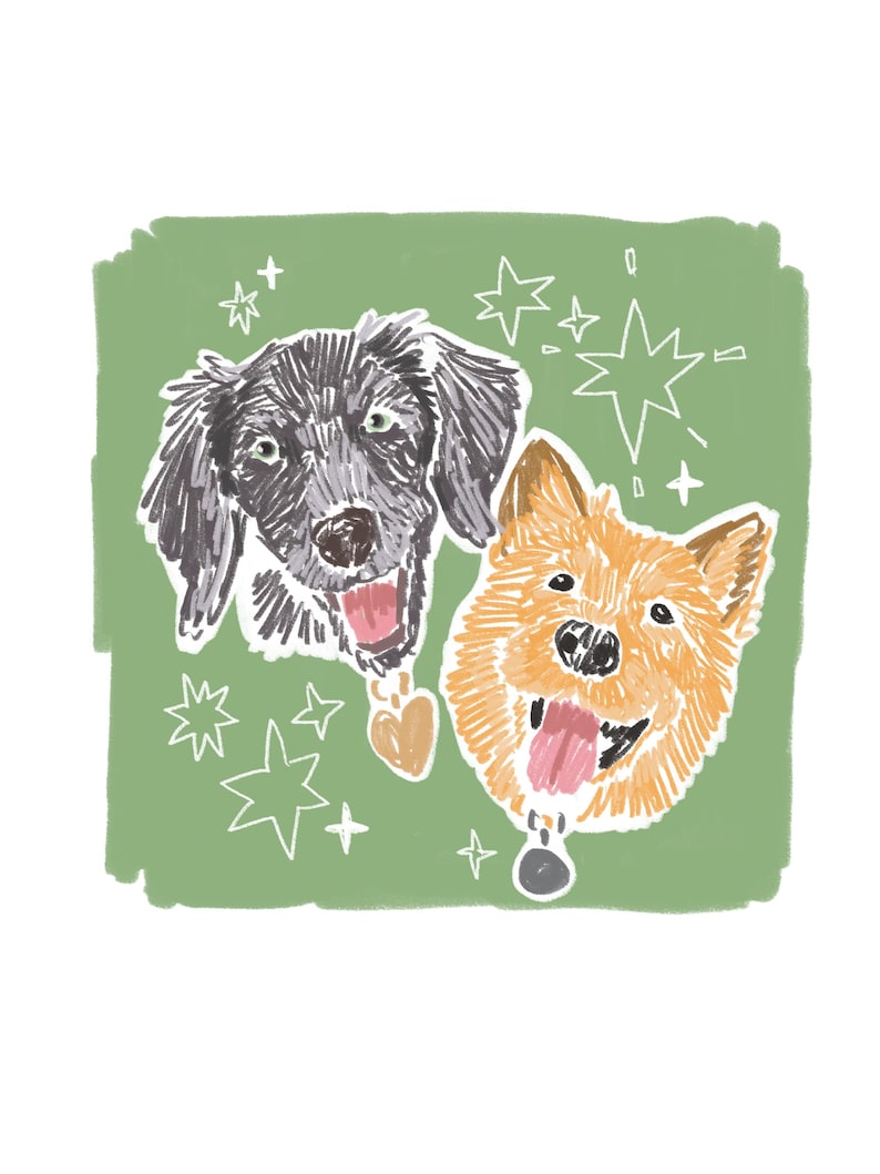 May include: A digital illustration on a sage green background featuring two dogs with open mouths and tongues out. One dog is black with a heart-shaped tag, and the other is golden-brown with a round tag. White line-drawn stars surround the dogs.
