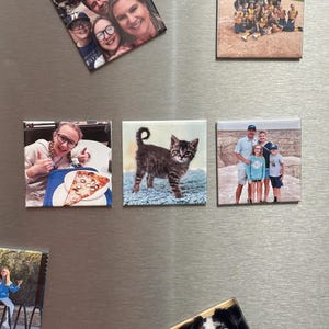 May include: A collection of square ceramic magnets featuring various images. One magnet displays a family portrait, another a softball team, and others showcase a kitten, a dog, and a person with pizza. The magnets are arranged on a metallic surface.