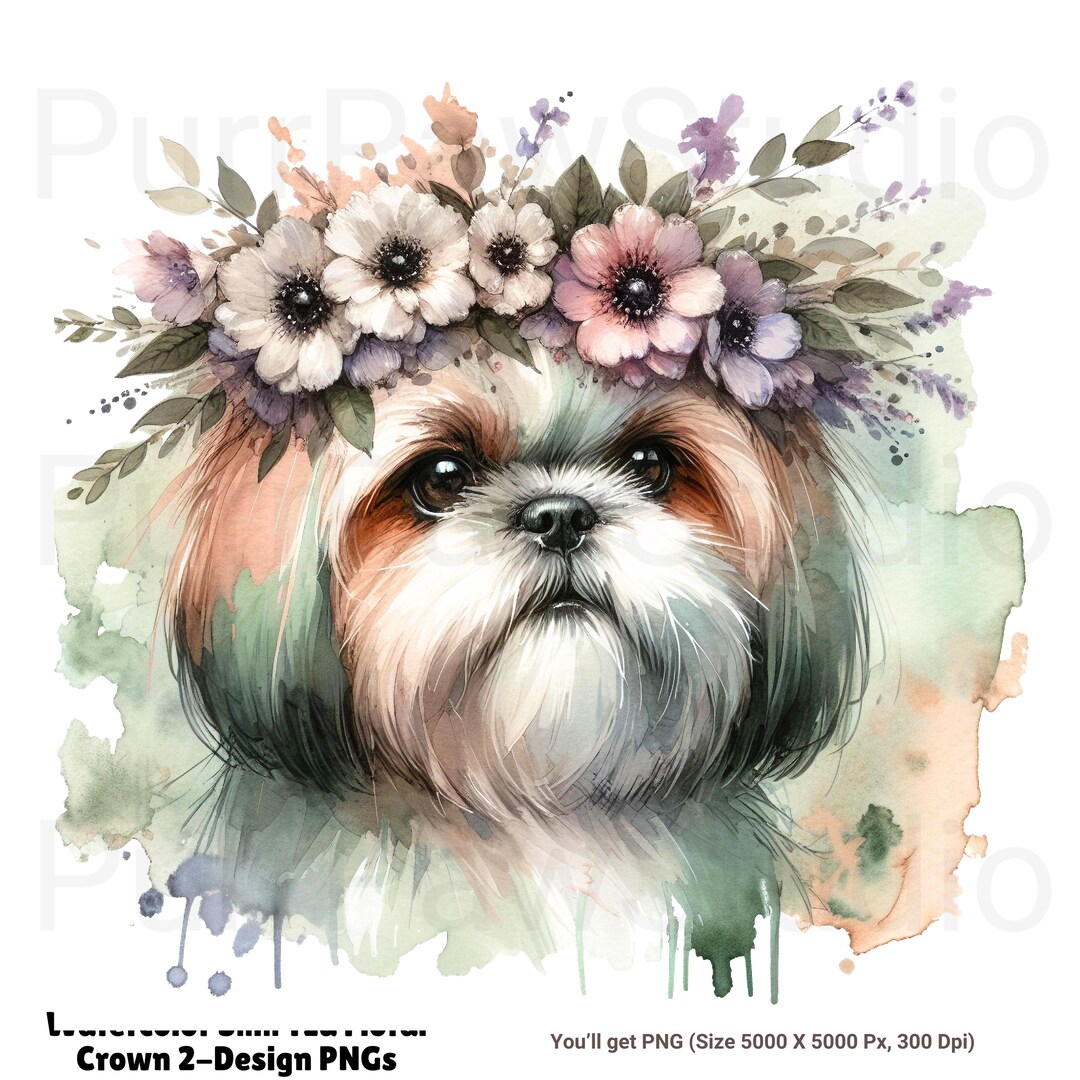 Shih Tzu Watercolor Dog Clipart Shih Tzu PNG Watercolor Dog ...