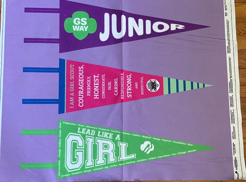 May include: A purple fabric with two pennant flags. The top flag is purple with white text that says "GS WAY" and "JUNIOR". The bottom flag is green with white text that says "LEAD LIKE A GIRL".