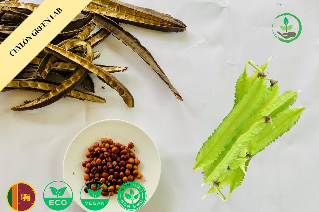 dried-winged-beans-ceylon-dambala-heirloom-legume-culinary-food-use