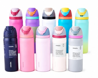 24 Oz Insulated Stainless Steel Water Bottle with Flip Straw Lid