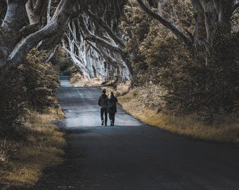 The Dark Hedges Print - Ireland Landscape Photography - Irish Wall Art