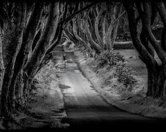 The Dark Hedges Print - Northern Ireland Photo - Irish Wall Art