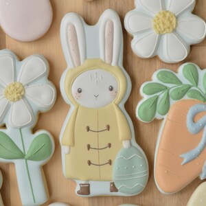 Può includere: Un assortimento di biscotti a tema pasquale. I biscotti includono un coniglietto in un cappotto giallo con cappuccio che tiene un uovo, fiori e una carota con un fiocco blu. I biscotti sono decorati con colori pastello e dettagli intricati.