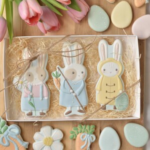 Può includere: Una scatola di biscotti pasquali a forma di coniglietti, uova e fiori. I biscotti a forma di coniglietto sono decorati con colori pastello e vestiti con abiti. La scatola è riempita di paglia e legata con spago.