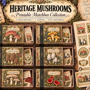 Puede incluir: Una colección de cajas de cerillas imprimibles titulada Heritage Mushrooms que incluye seis cajas con ilustraciones botánicas de amanita, rebozuelo, morilla, coprino, parasol y peziza escarlata, además de papeles y efímeros.