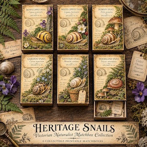May include: A collection of six rectangular matchboxes labelled Heritage Snails, each featuring detailed illustrations of different snail species like the Brown-Lipped, White-Lipped, Roman, Garden, Kentish, and Woodland snails with botanical accents.