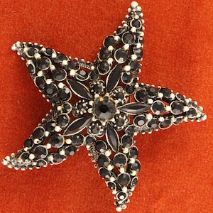 Può includere: Spilla a forma di stella con design di pietre preziose nere. La spilla presenta un gruppo centrale di pietre nere circondato da punte radianti, ciascuna adornata da gemme nere più piccole. L'incastonatura metallica ha una finitura argentata, su sfondo arancione.