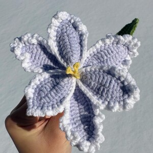 Puede incluir: Una flor de ganchillo hecha a mano con p&eacute;talos de color lavanda, bordes blancos con volantes y un centro amarillo. Se adjunta una hoja verde de ganchillo. La flor se sostiene sobre un fondo nevado.