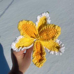 Puede incluir: Una flor de ganchillo hecha a mano en tonos amarillos y blancos. La flor tiene seis p&eacute;talos con un dise&ntilde;o texturizado y detallado. Los p&eacute;talos son amarillos con bordes blancos con volantes. La flor se sostiene sobre un fondo nevado.