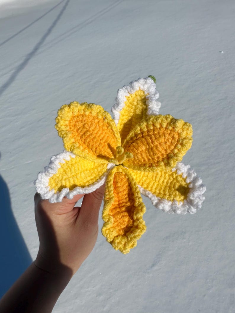 Puede incluir: Una flor de ganchillo hecha a mano en tonos amarillos y blancos. La flor tiene seis p&eacute;talos con un dise&ntilde;o texturizado y detallado. Los p&eacute;talos son amarillos con bordes blancos con volantes. La flor se sostiene sobre un fondo nevado.