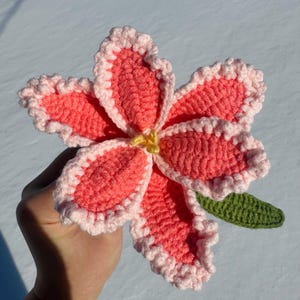 Puede incluir: Una flor de ganchillo hecha a mano con p&eacute;talos rosas, un borde rosa claro y un centro amarillo. Una hoja verde est&aacute; unida a la flor. La flor se sostiene en una mano sobre un fondo nevado.