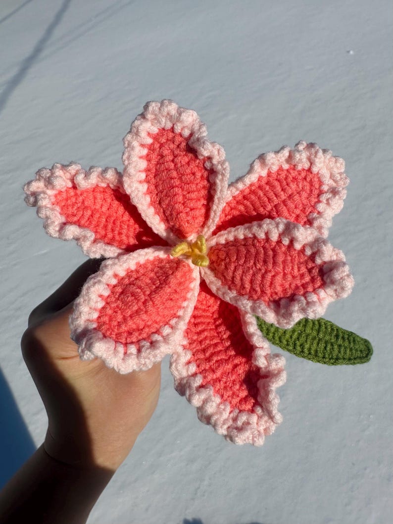 Puede incluir: Una flor de ganchillo hecha a mano con p&eacute;talos rosas, un borde rosa claro y un centro amarillo. Una hoja verde est&aacute; unida a la flor. La flor se sostiene en una mano sobre un fondo nevado.