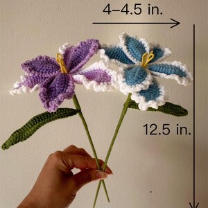 Puede incluir: Dos flores de ganchillo, una morada y otra azul, con detalles blancos y amarillos. Las flores miden aproximadamente 10-11 cm de ancho y 32 cm de alto. Los tallos y hojas verdes completan el arreglo floral hecho a mano.