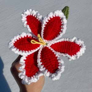Puede incluir: Una flor de ganchillo hecha a mano con p&eacute;talos rojos, bordes festoneados blancos y centro amarillo. La flor tiene un tallo verde y se sostiene sobre un fondo nevado. Un art&iacute;culo artesanal &uacute;nico.