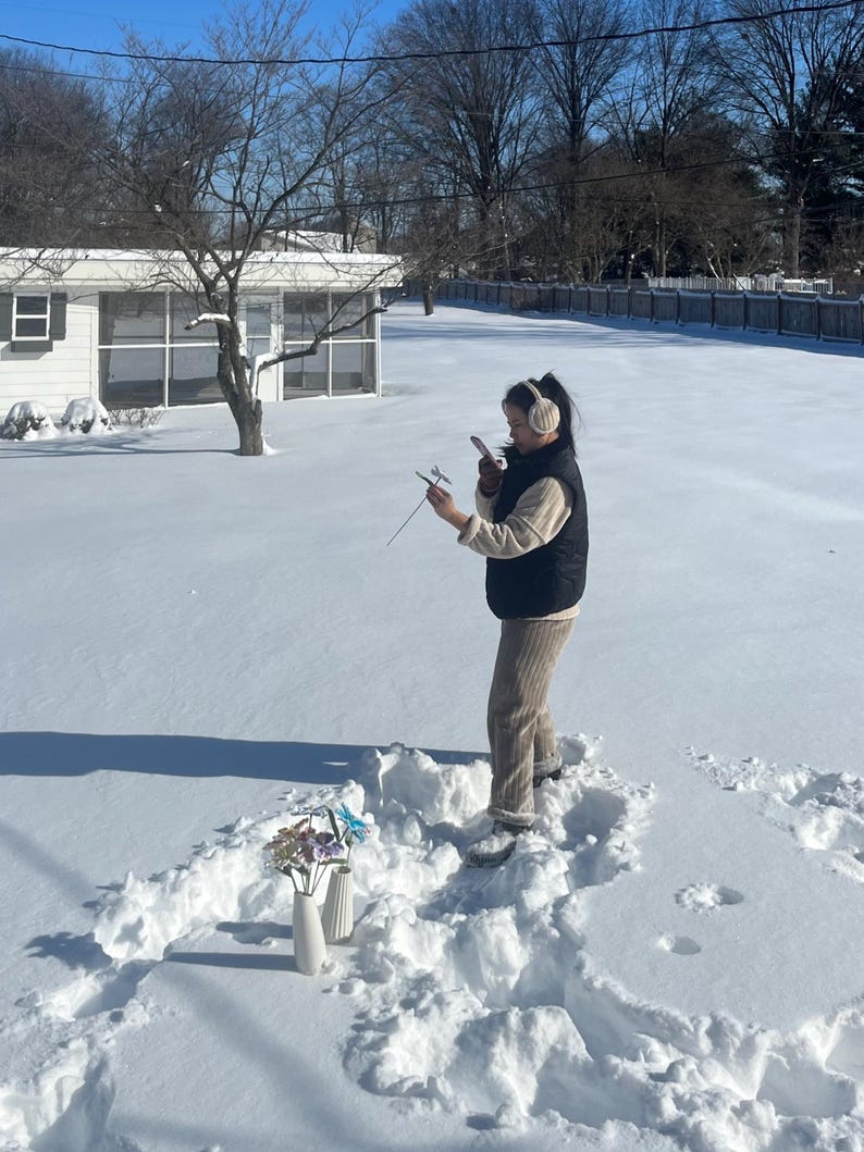 Puede incluir: Dos jarrones de cer&aacute;mica blanca con flores artificiales de colores est&aacute;n en la nieve. Una persona est&aacute; de pie en la nieve, sosteniendo un tel&eacute;fono y un objeto peque&ntilde;o. La escena es al aire libre en un d&iacute;a soleado con una casa al fondo.