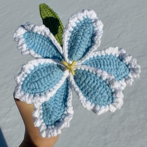 Puede incluir: Una flor de ganchillo hecha a mano con seis p&eacute;talos de color azul claro, cada uno delineado en blanco con un borde con volantes. Una hoja verde y un centro amarillo completan el dise&ntilde;o floral. La artesan&iacute;a se exhibe sobre un fondo nevado.