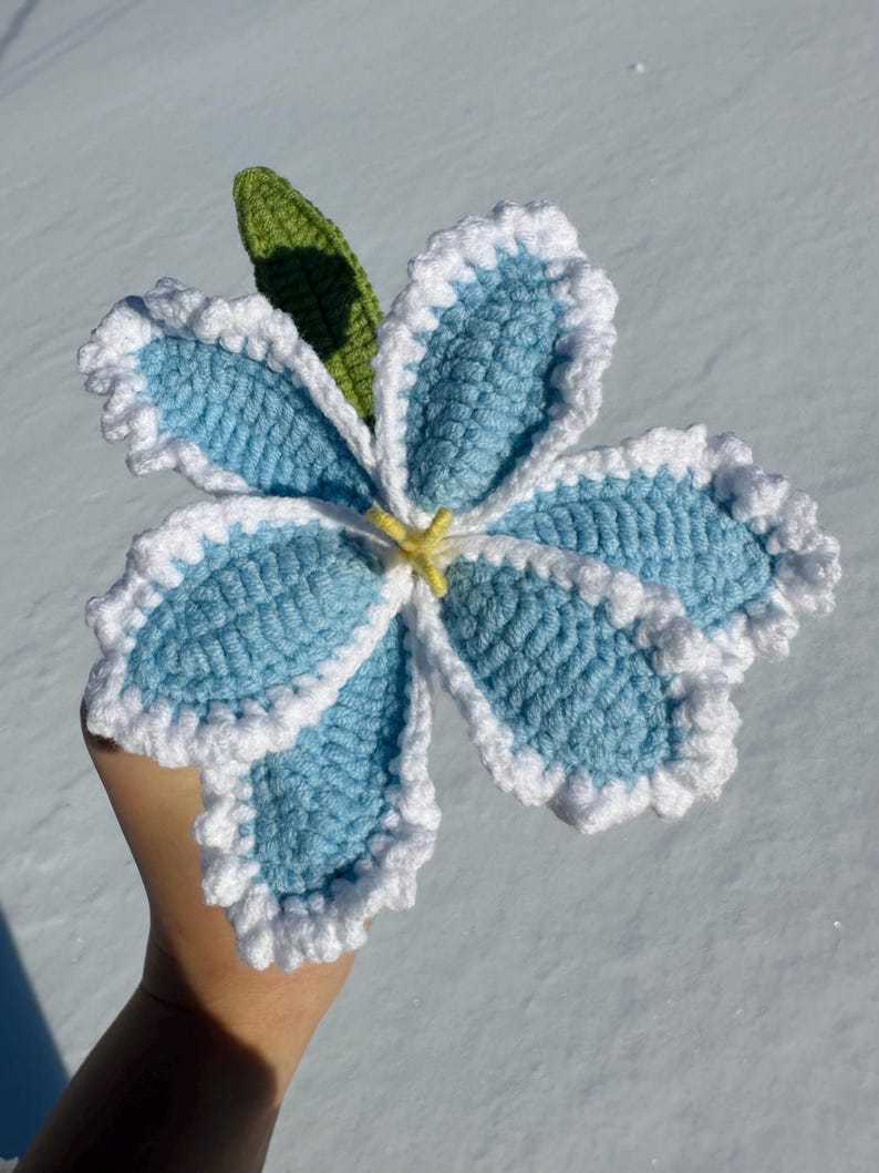 Puede incluir: Una flor de ganchillo hecha a mano con seis p&eacute;talos de color azul claro, cada uno delineado en blanco con un borde con volantes. Una hoja verde y un centro amarillo completan el dise&ntilde;o floral. La artesan&iacute;a se exhibe sobre un fondo nevado.