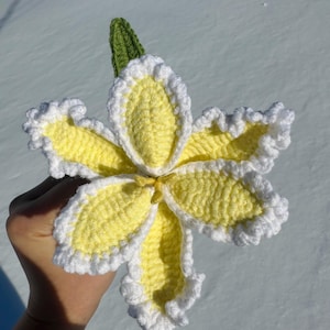 Puede incluir: Una flor de ganchillo hecha a mano con p&eacute;talos amarillos, bordes blancos con volantes y un tallo verde. La flor se sostiene sobre un fondo nevado, mostrando la intrincada costura y los colores vibrantes. Ideal para la decoraci&oacute;n de primavera o verano.