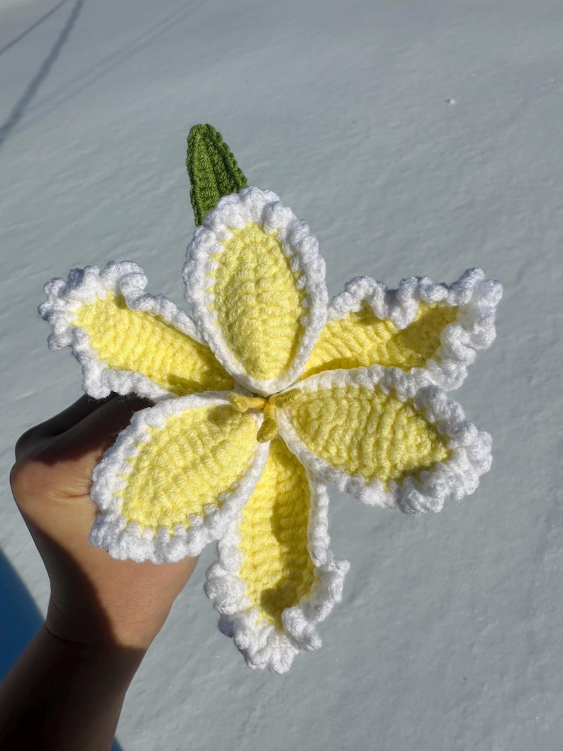 Puede incluir: Una flor de ganchillo hecha a mano con p&eacute;talos amarillos, bordes blancos con volantes y un tallo verde. La flor se sostiene sobre un fondo nevado, mostrando la intrincada costura y los colores vibrantes. Ideal para la decoraci&oacute;n de primavera o verano.