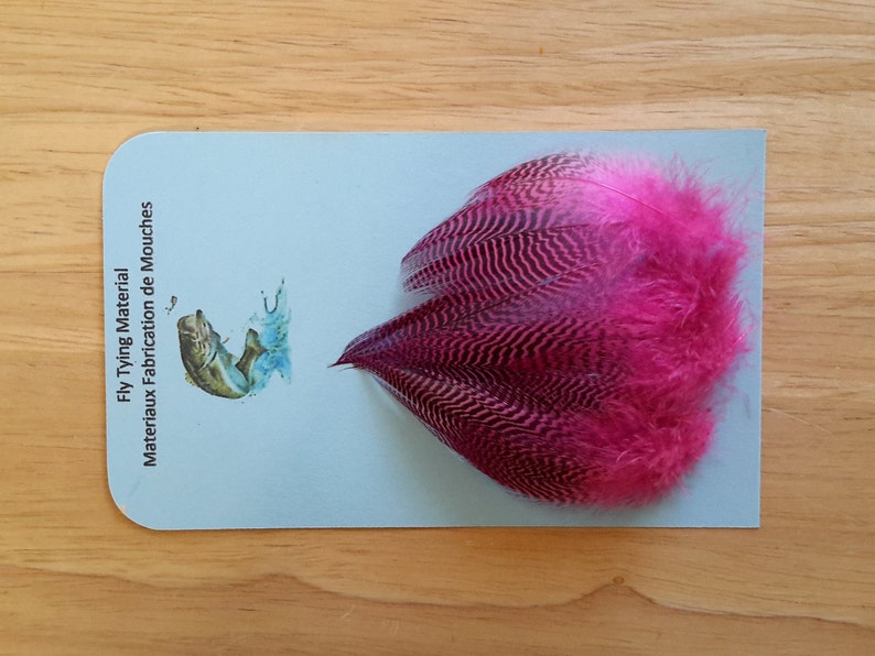 Teal Barred Flank.. Pink Feather Fl Feather. Fly Tying Material.