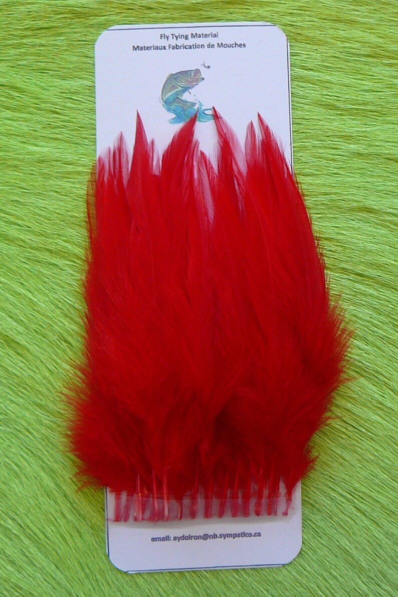 Fly Tying Feather. 1 Pack Only 25 per Card. Etsy