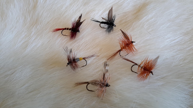 White.. Loose... Feather. Fluo Fly Tying Material. Color. Rooster Saddle Hackle..