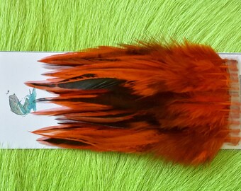 Hackle Feather Mount Scarlet Red 