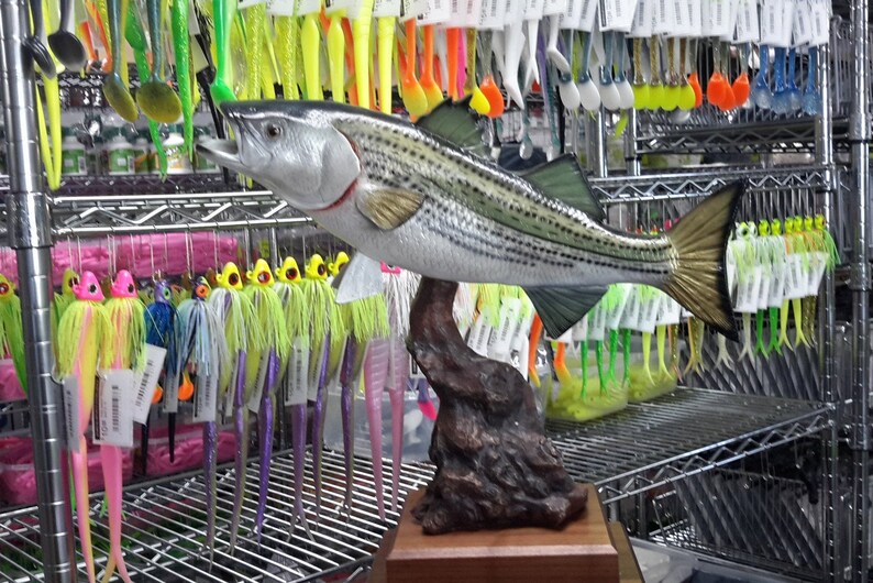 Fly Fishing Flies.... Stimulator Flies Royal Etsy