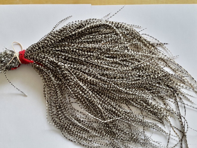 Fly Tying Feathers...... Long Saddle Hackle feather Color Etsy Canada